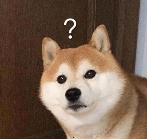 呆狗看爆料视频是真的吗,真相揭秘还是虚假炒作？